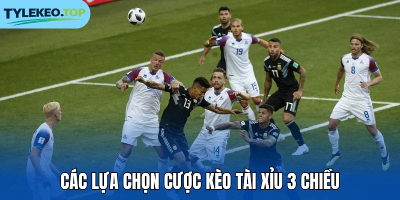 Các lựa chọn cược kèo Tài Xỉu 3 chiều