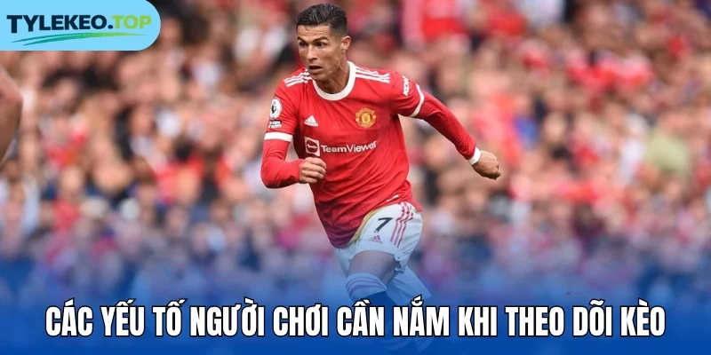 Các yếu tố người chơi cần nắm khi theo dõi kèo