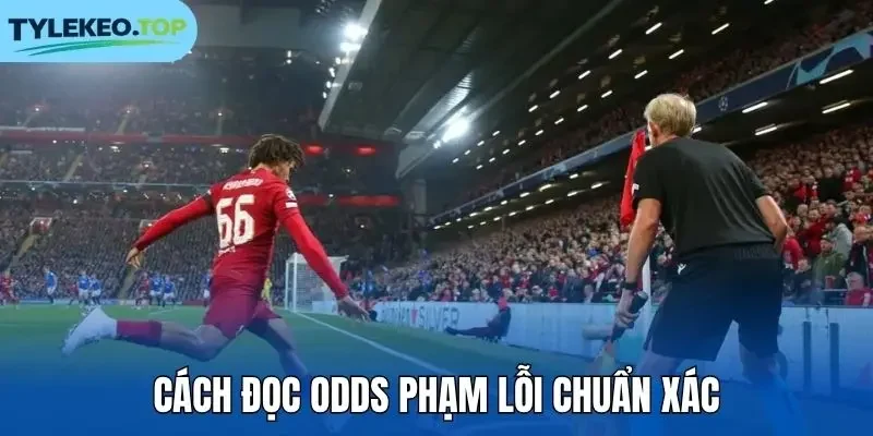 Cách đọc odds phạm lỗi chuẩn xác