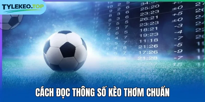Cách đọc thông số kèo thơm chuẩn