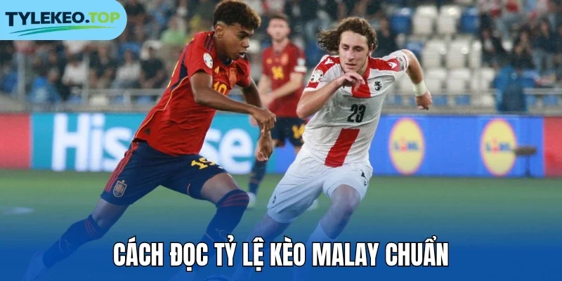 Cách đọc tỷ lệ kèo Malay chuẩn