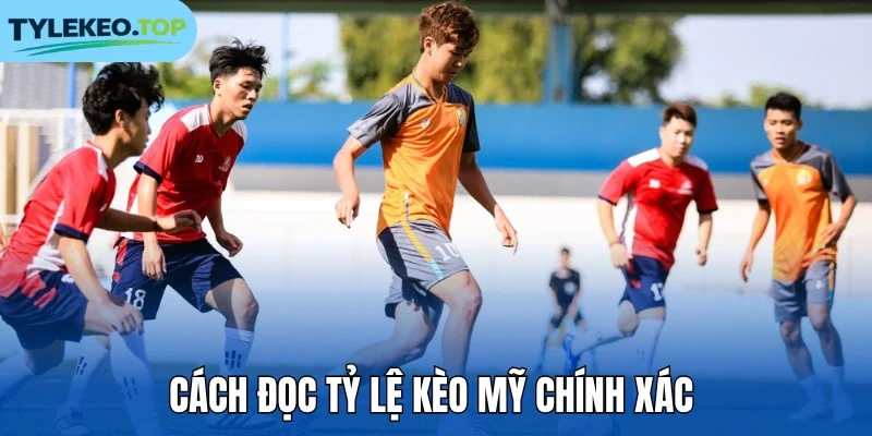 Cách đọc tỷ lệ kèo Mỹ chính xác 