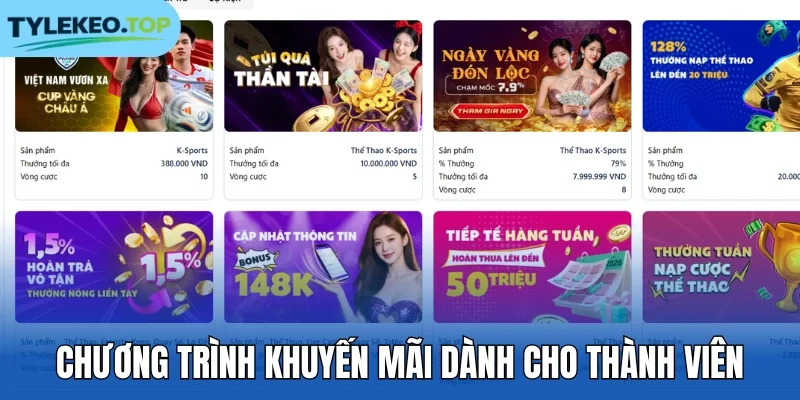 Chương trình khuyến mãi dành cho thành viên