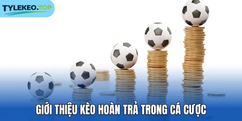 Giới thiệu kèo hoàn trả trong cá cược