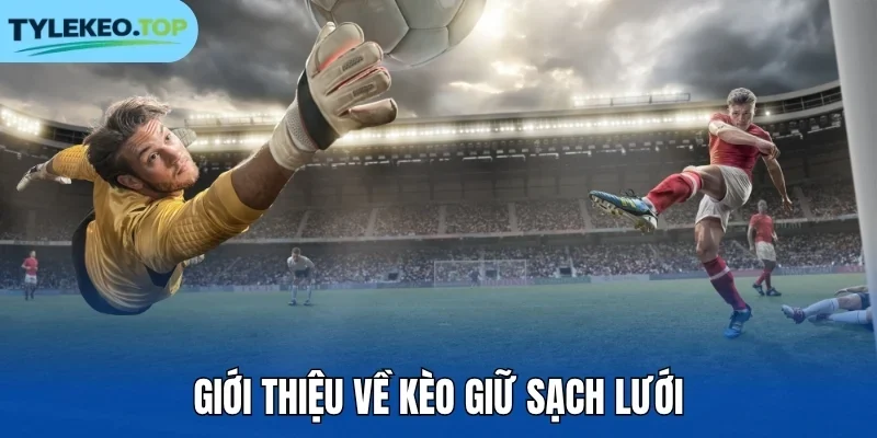 Giới thiệu về kèo giữ sạch lưới