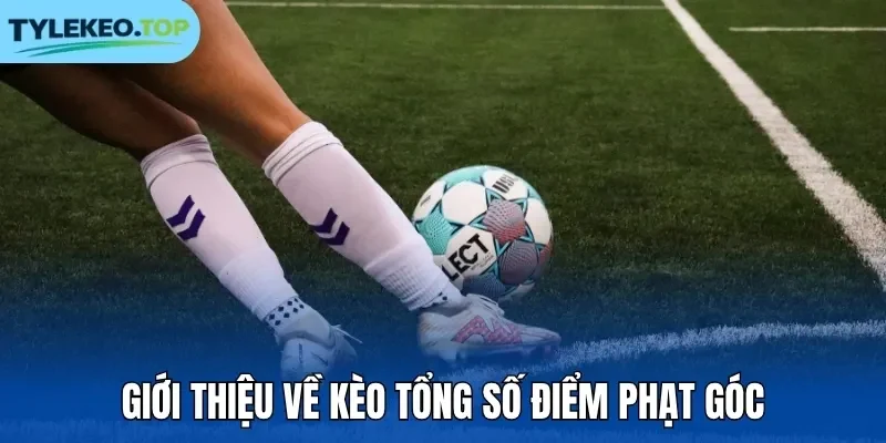 Giới thiệu về kèo tổng số điểm phạt góc