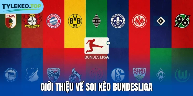 Giới thiệu về soi kèo Bundesliga