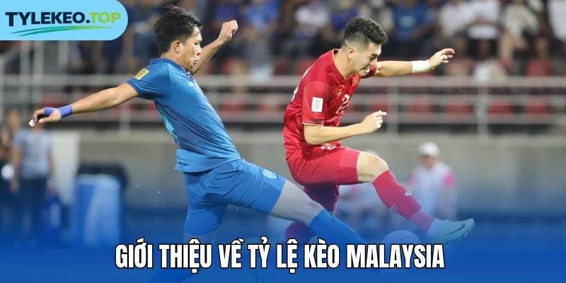 Giới thiệu về tỷ lệ kèo Malaysia