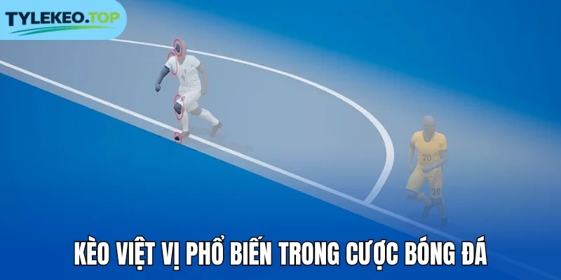 Kèo việt vị phổ biến trong cược bóng đá