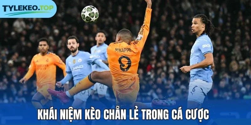 Khái niệm kèo chẵn lẻ trong cá cược