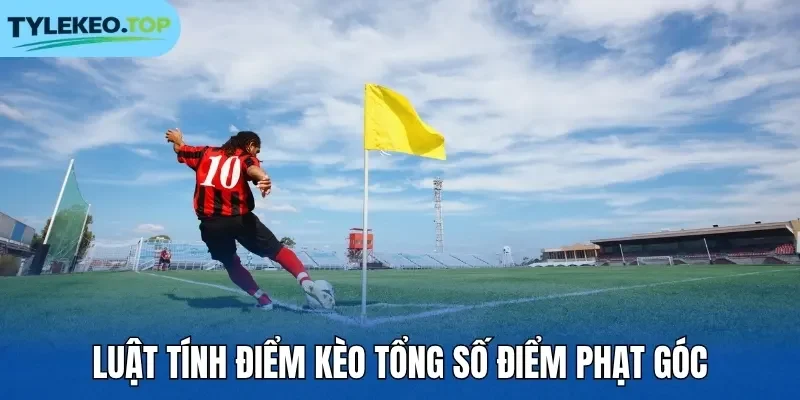 Luật tính điểm kèo tổng số điểm phạt góc