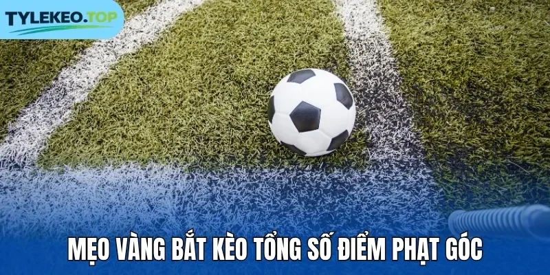 Mẹo vàng bắt kèo tổng số điểm phạt góc