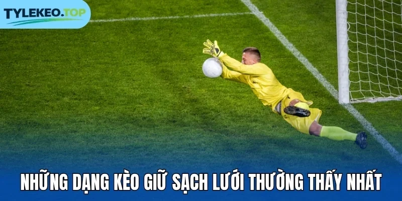 Những dạng kèo giữ sạch lưới thường thấy nhất