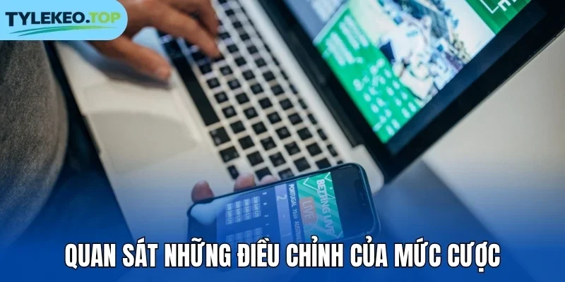Quan sát những điều chỉnh của mức cược