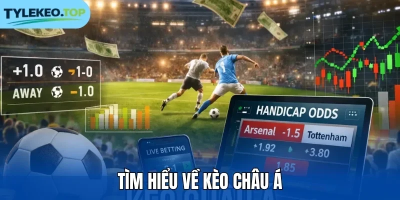 Tìm hiểu về kèo châu Á