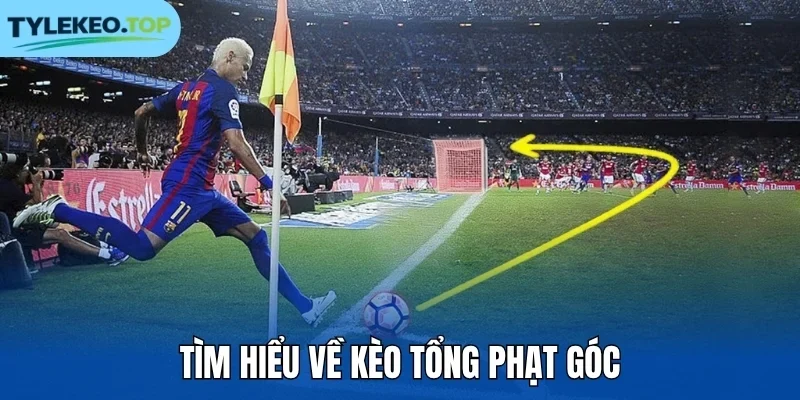 Tìm hiểu về kèo tổng phạt góc