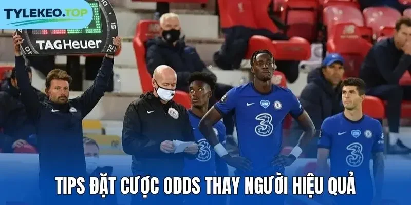 Tips đặt cược odds thay người hiệu quả