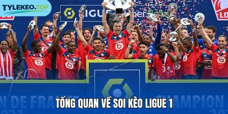 Tổng quan về soi kèo Ligue 1