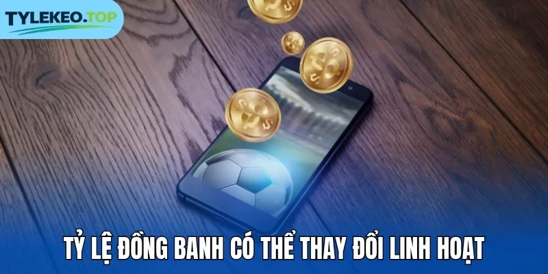 Tỷ lệ đồng banh có thể thay đổi linh hoạt