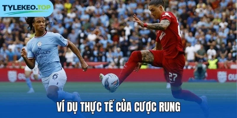 Ví dụ thực tế của cược rung