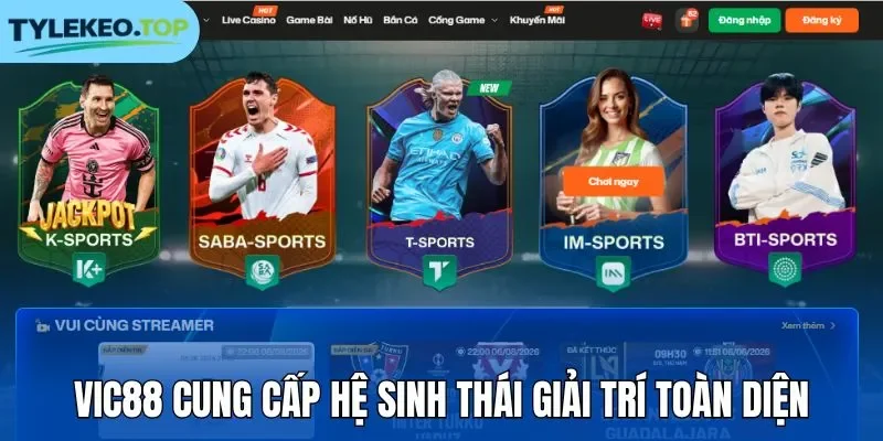 Vic88 cung cấp nhiều chương trình ưu đãi hấp dẫn