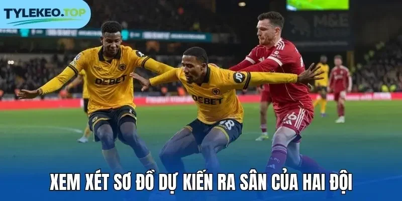 Xem xét sơ đồ dự kiến ra sân của hai đội