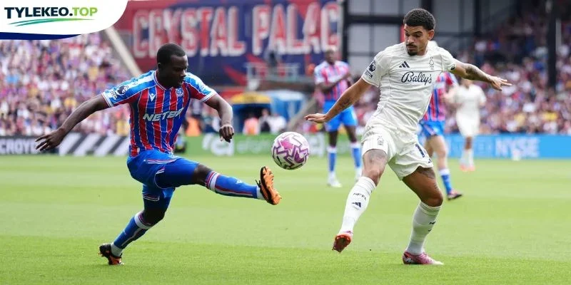 Thống kê các cầu thủ Crystal Palace vs Nottingham