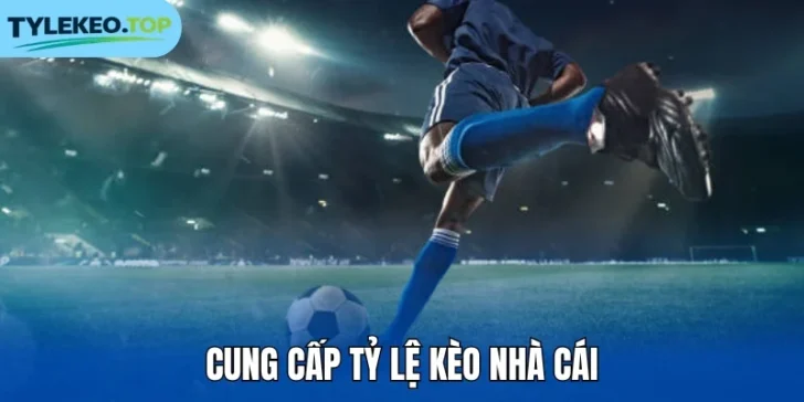 Cung cấp tỷ lệ kèo nhà cái