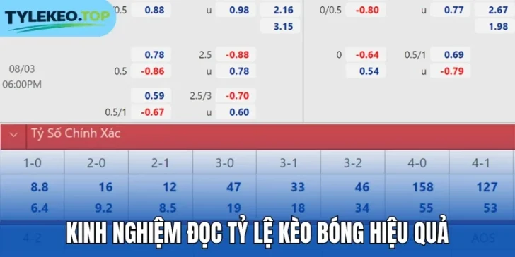 Kinh nghiệm đọc tỷ lệ kèo bóng hiệu quả