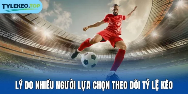 1-ly-do-nhieu-nguoi-lua-chon-theo-doi-ty-le-keo
